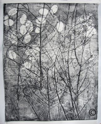 Herbstwiese II Ätzradierung (Vernis Mou) 40x50
