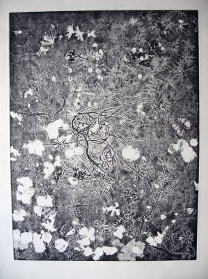 Biotop I 30x40 Ätzradierung (Vernis Mou) und Zeichnung 
