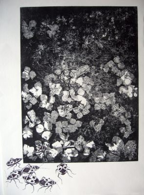 Biotop II 30x40 Ätzradierung (Vernis Mou) und Zeichnung 
