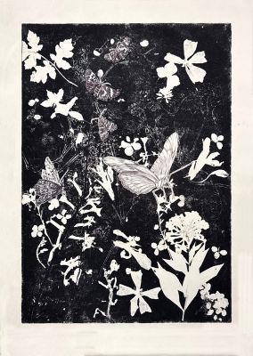 Biotop VI 30x40 Ätzradierung (Vernis Mou) und Zeichnung
