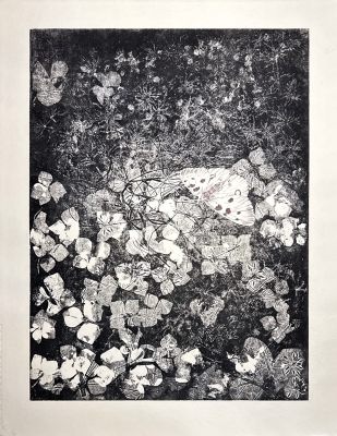 Biotop VIII 30x40 Ätzradierung (Vernis Mou) und Zeichnung
