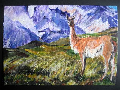 Guanako Acryl auf Leinwand 15x10
