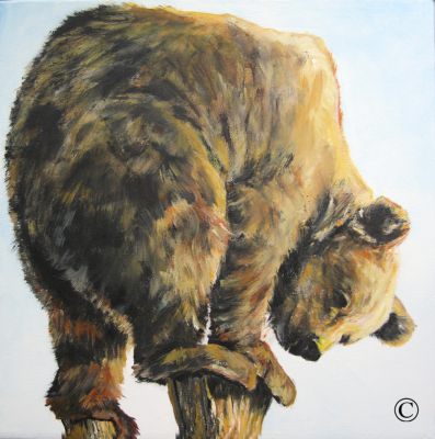 Quadratbär 40x40 Acryl auf Leinwand
