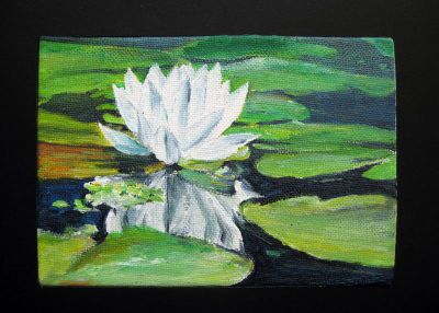 Seerose Acryl auf Leinwand 15x10
