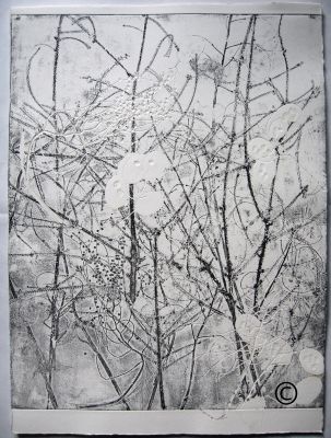 Wiese V Ätzradierung (Vernis Mou) und Prägedruck 40x50
