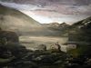 Dateiname=NorwegenIII8060.jpg
Dateigröße=108KB
Abmessungen: 800x604
hinzugefügt am: 13. August 2006 NorwegenIII8060.jpg