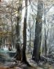 Dateiname=Waldspaziergang24x30.jpg
Dateigröße=381KB
Abmessungen: 626x800
hinzugefügt am: 21. Oktober 2022 Waldspaziergang24x30.jpg